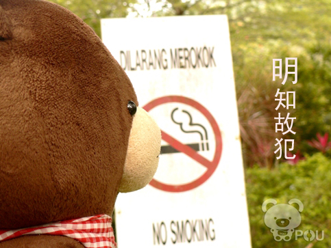 阿宝游青年公园记 （三）
