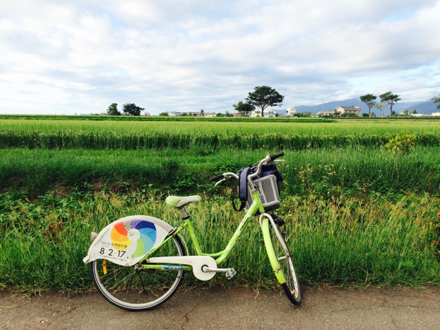 臺東布客森林民宿，縱橫花東海岸線 － 臺東，情非得已的愛上你