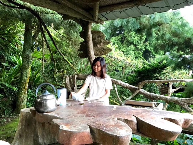 嘉義梅山鄉瑞峰村賴坤陽的家木屋民宿：山居茶歲月，漫山飛舞的日子